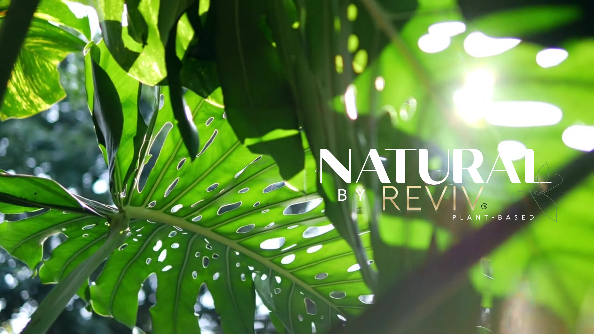 Load video: Natural by REVIV